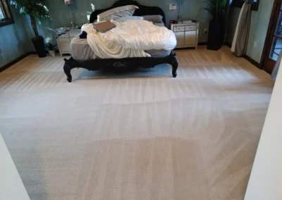 Affordable Carpet Cleaning