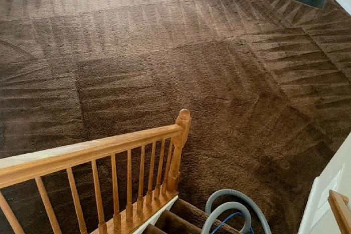 Carpet Cleaning