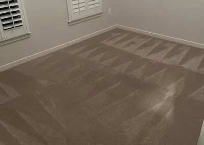 Dependable Carpet Cleaning