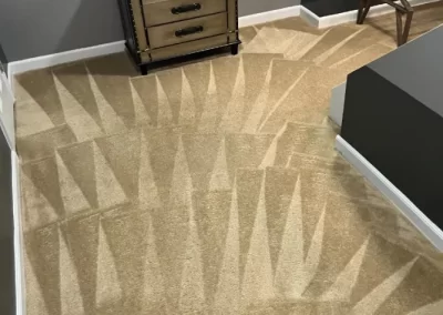 Professional Carpet Cleaning