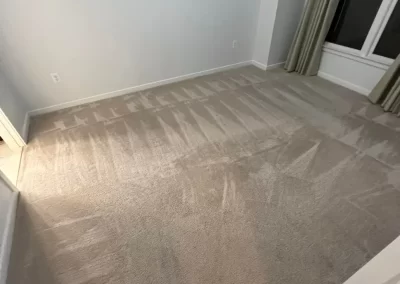 Quality Carpet Cleaning