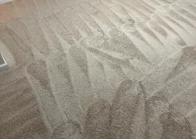 Reliable Carpet Cleaning