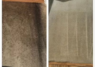 Top-notch Carpet Cleaning