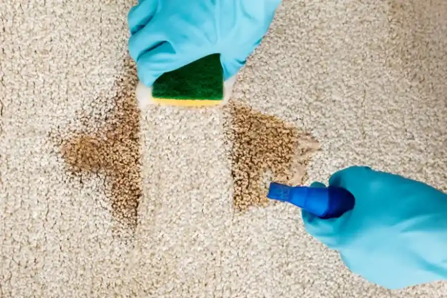 The Benefits Of Professional Carpet Cleaning For Allergies Upper Marlboro, MD The Benefits Of Professional Carpet Cleaning For Allergies Upper Marlboro, MD